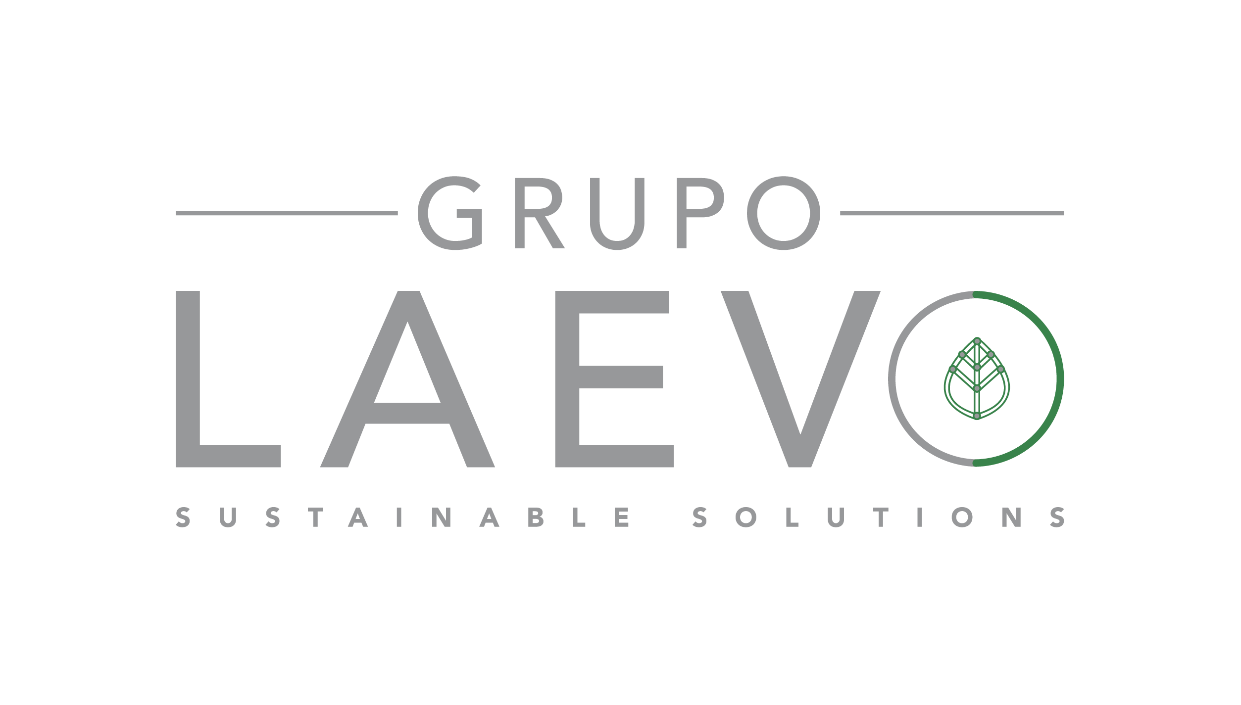Grupo Laevo