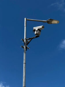 control de plaga de aves en minería
