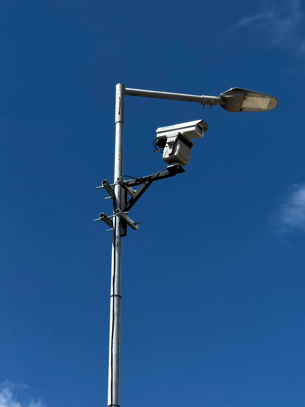 control de plaga de aves en minería
