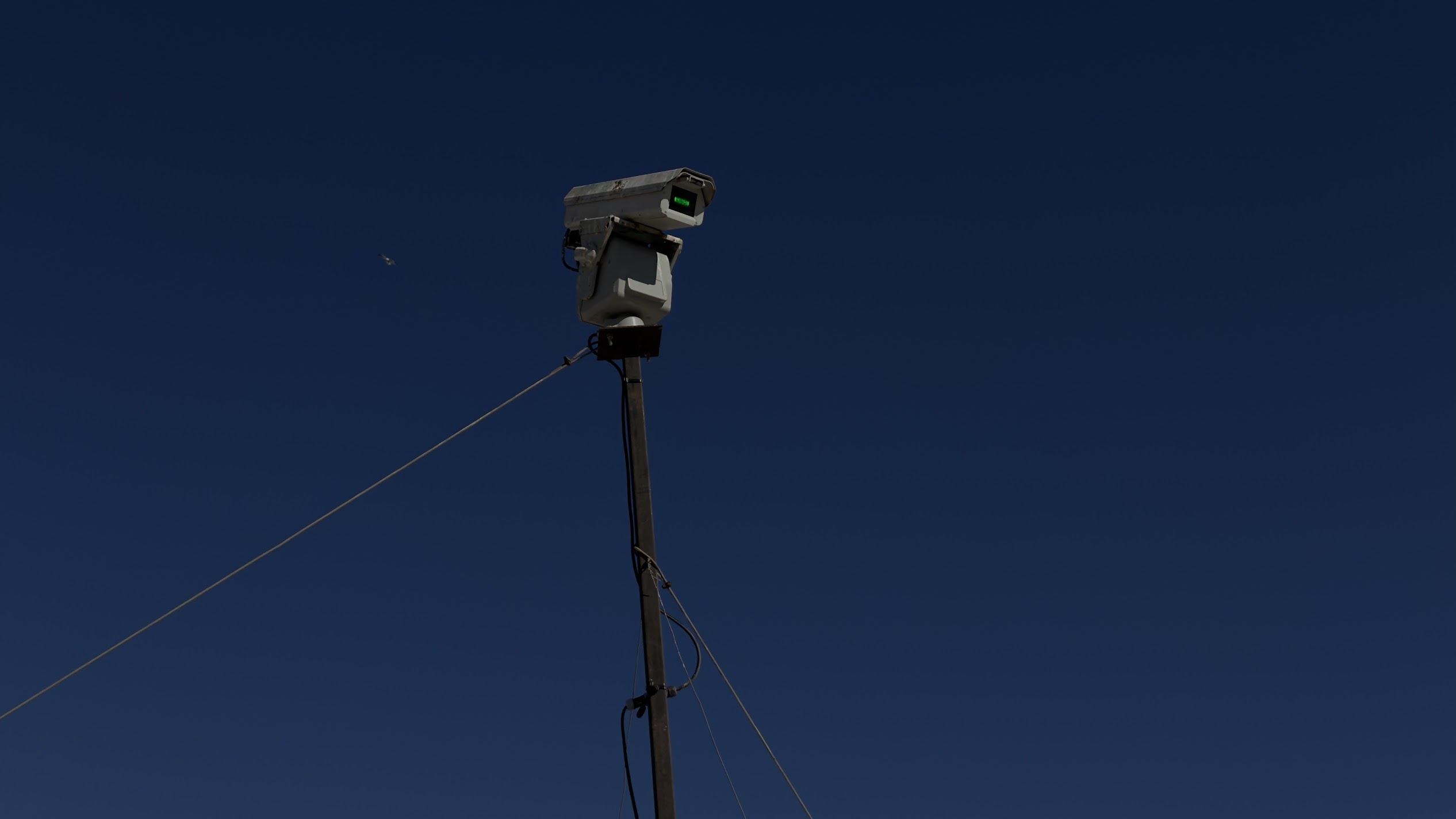 láser para espantar aves