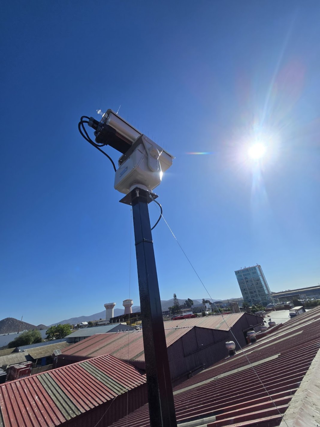 Control de aves plaga en bodegas